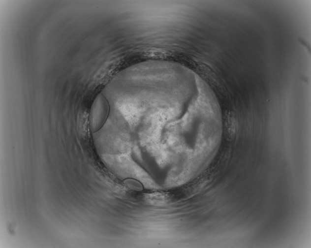X0000100400511200806271424