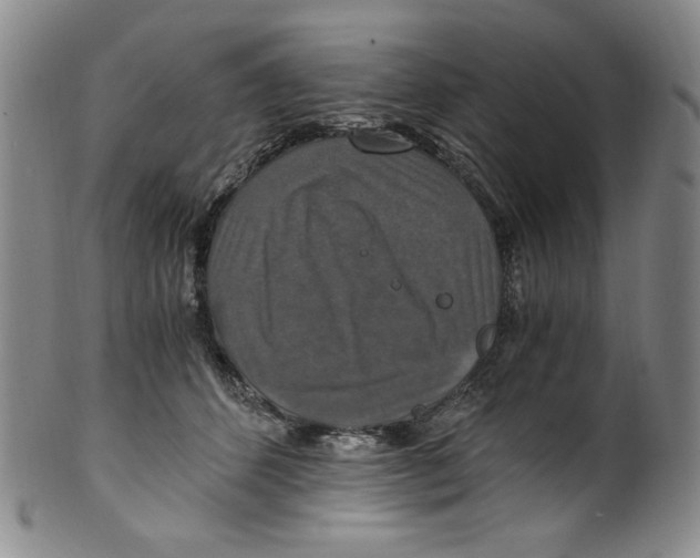 X0000100400512200806271424