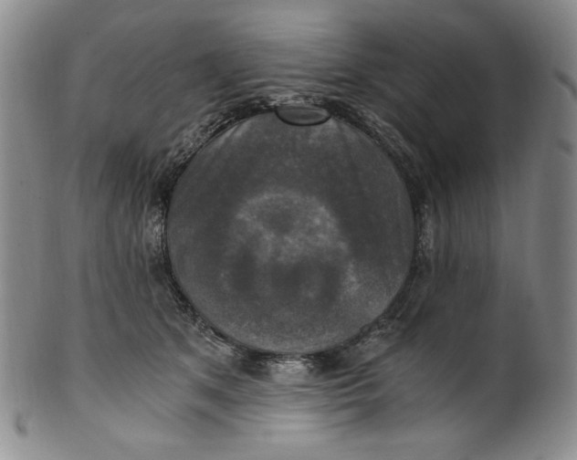 X0000100400513200806271424