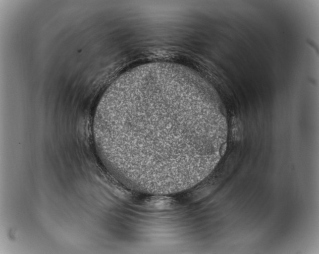 X0000100400514200806271424