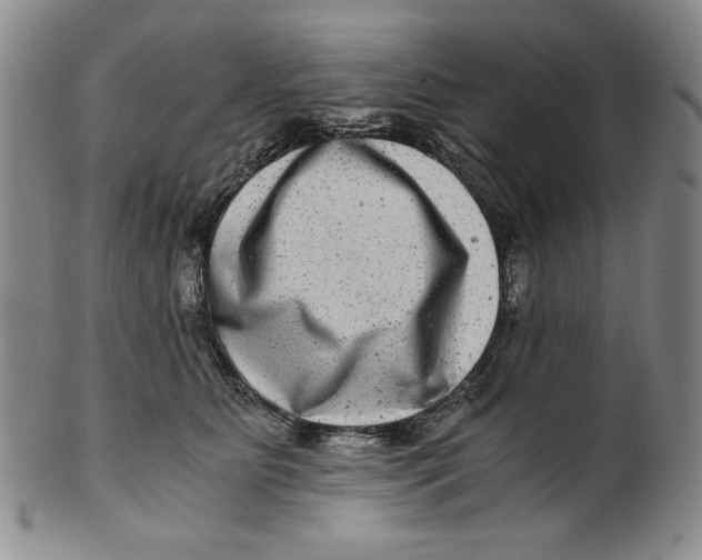 X0000100400515200806271424