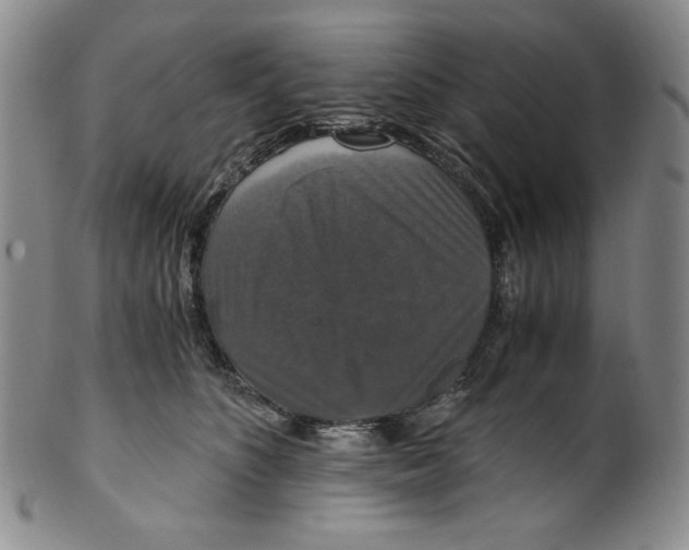 X0000100400516200806271424