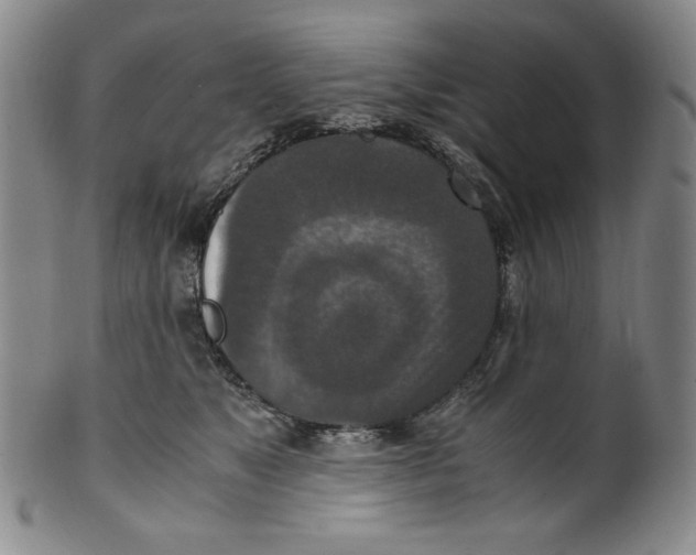 X0000100400517200806271424
