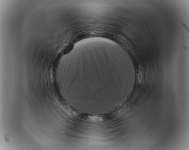 X0000100400520200806271424