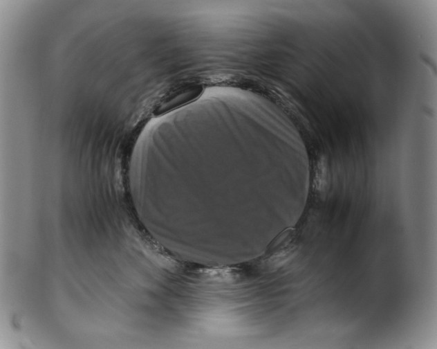 X0000100400524200806271423