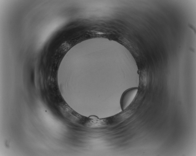 X0000100400526200806271423