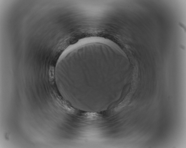 X0000100400528200806271423