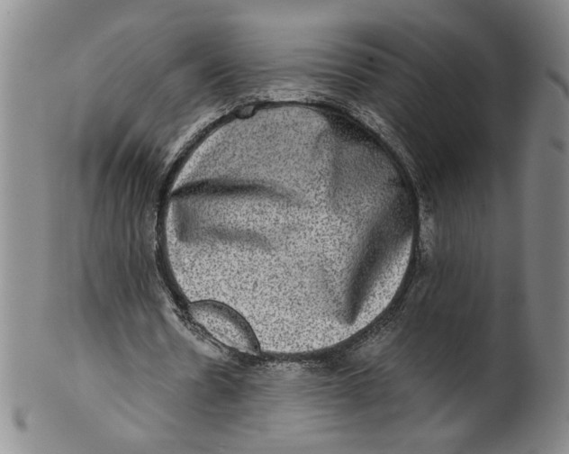 X0000100400530200806271423