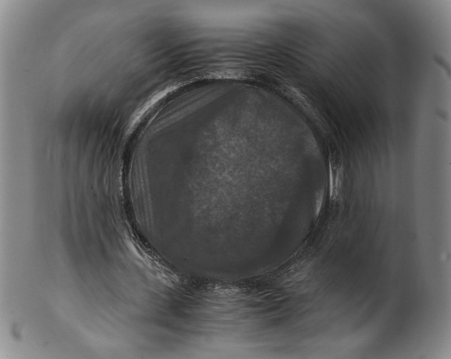 X0000100400531200806271423