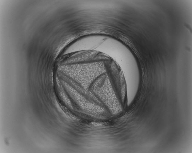 X0000100400534200806271423