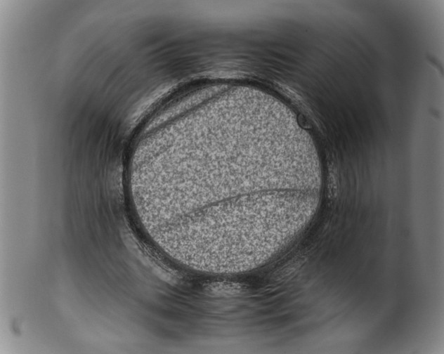 X0000100400535200806271423