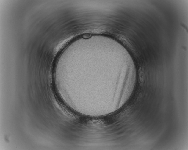 X0000100400536200806271423
