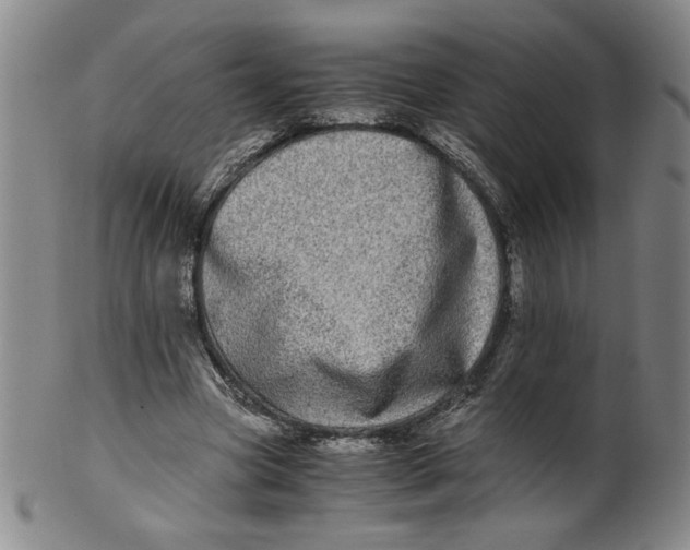X0000100400537200806271423