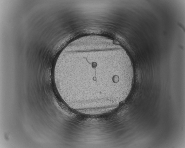 X0000100400538200806271423