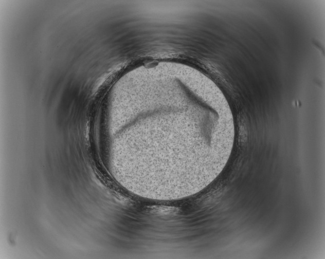 X0000100400539200806271423