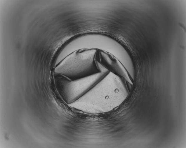 X0000100400540200806271423