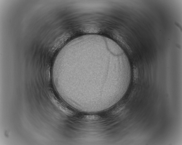 X0000100400541200806271423