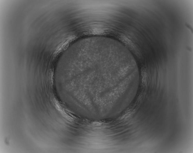 X0000100400542200806271423