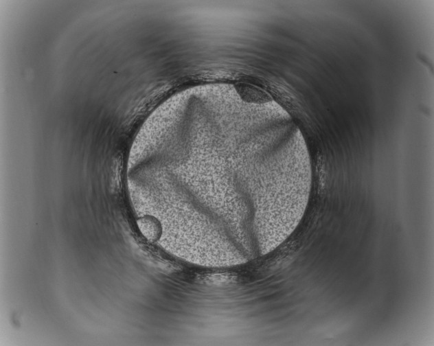 X0000100400546200806271423