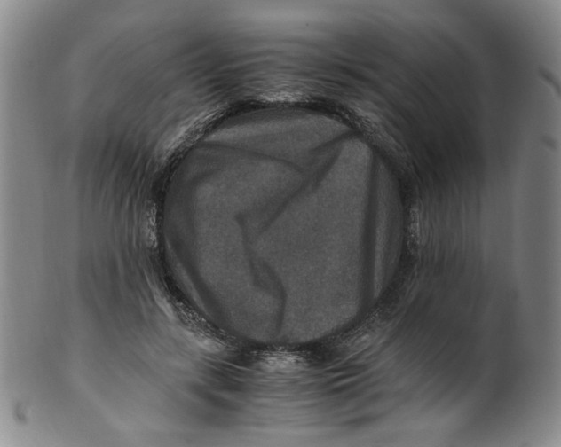 X0000100400547200806271423