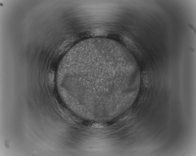 X0000100400550200806271423