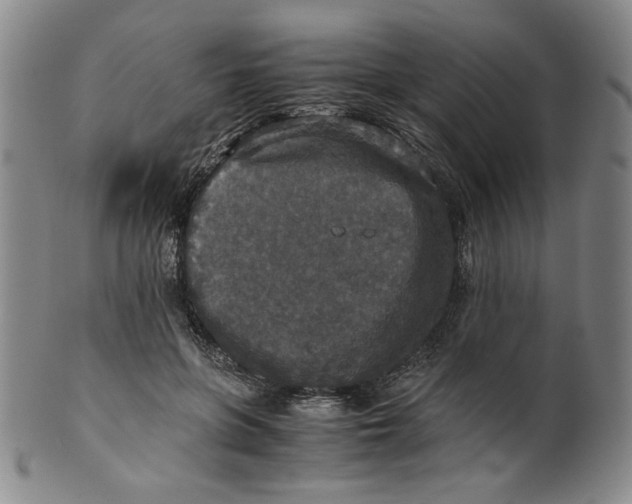 X0000100400551200806271423