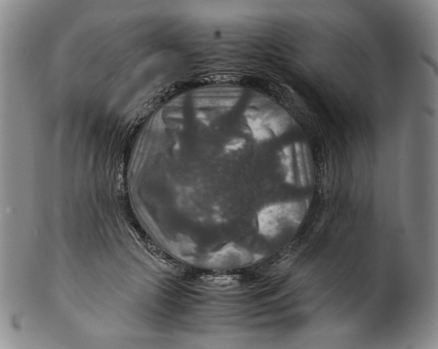 X0000100400553200806271423