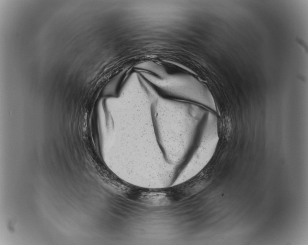 X0000100400554200806271423