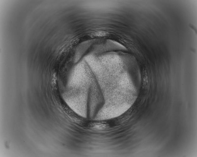 X0000100400555200806271423