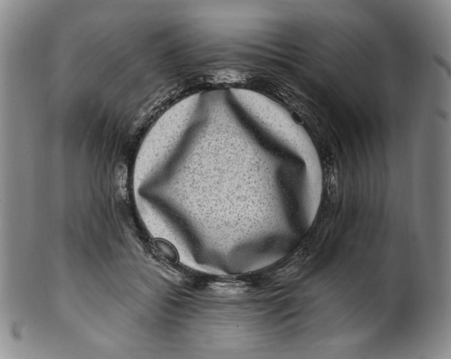X0000100400556200806271423