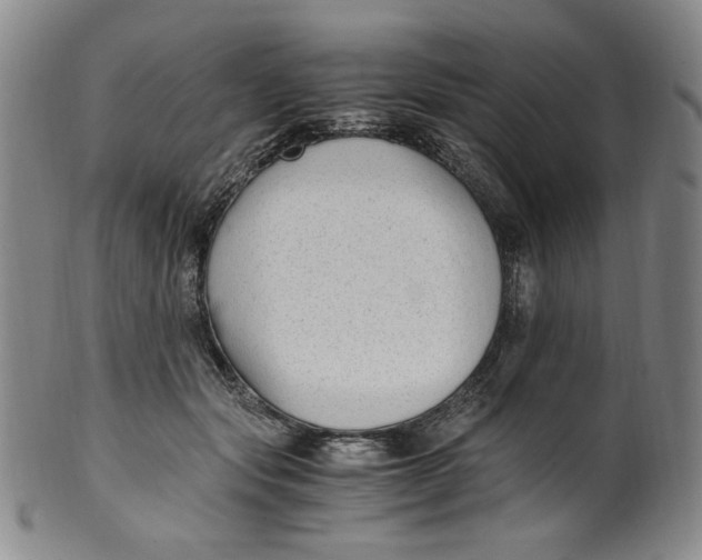 X0000100400557200806271423