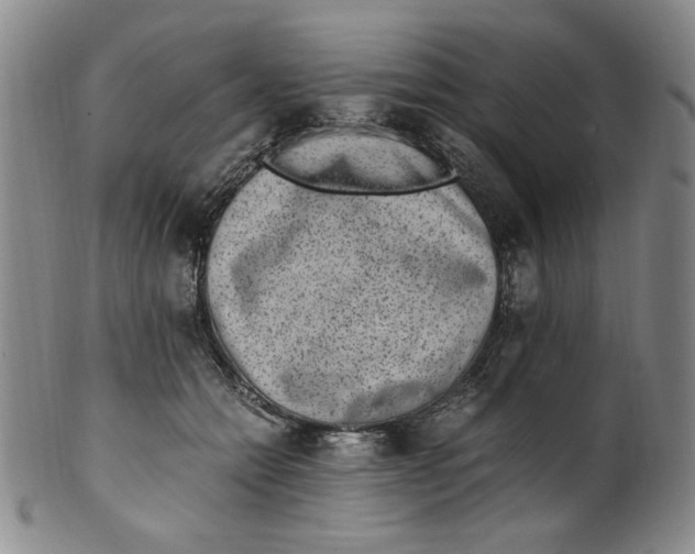 X0000100400558200806271423