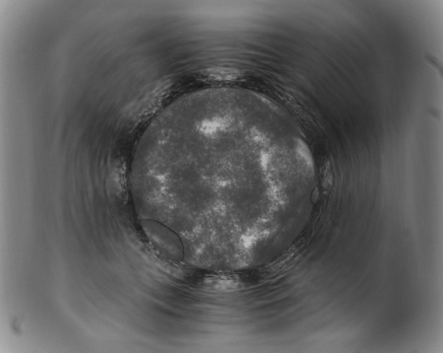 X0000100400559200806271423