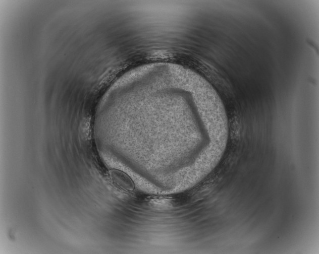 X0000100400560200806271423