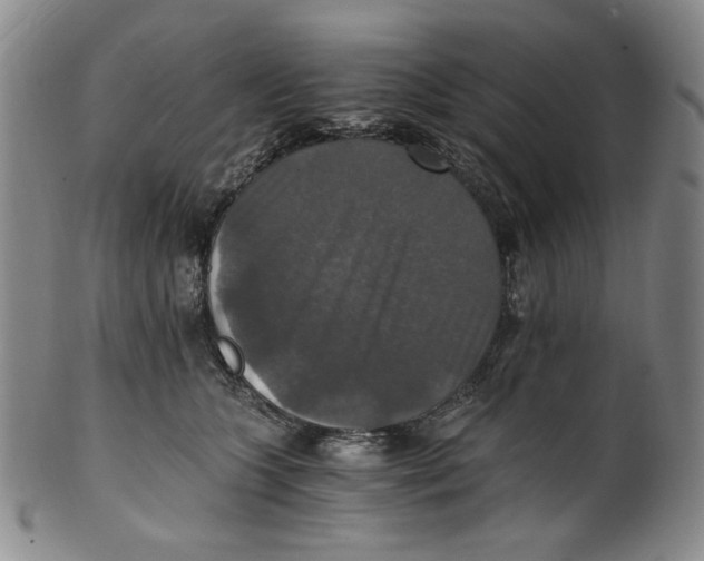 X0000100400563200806271423