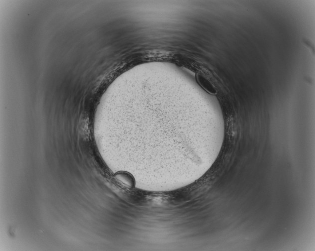 X0000100400564200806271423