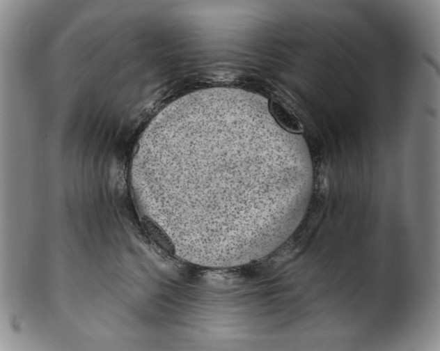 X0000100400568200806271423