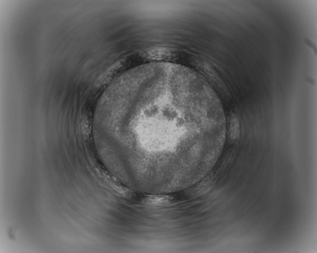 X0000100400569200806271423