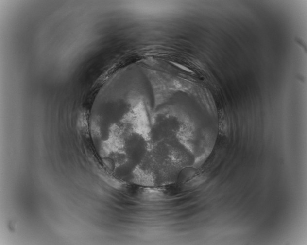 X0000100400573200806271423