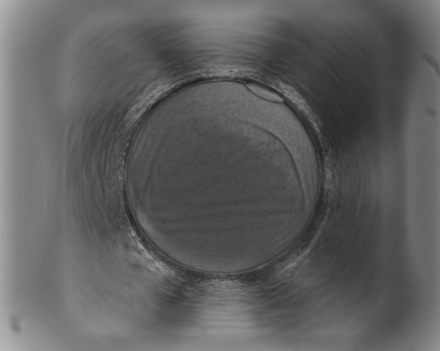 X0000100400577200806271423
