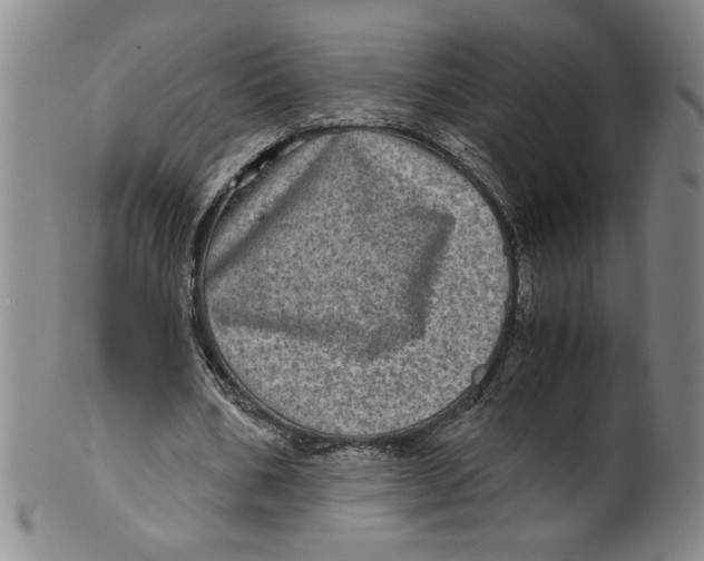 X0000100400578200806271423