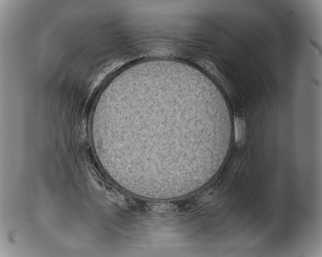 X0000100400579200806271423