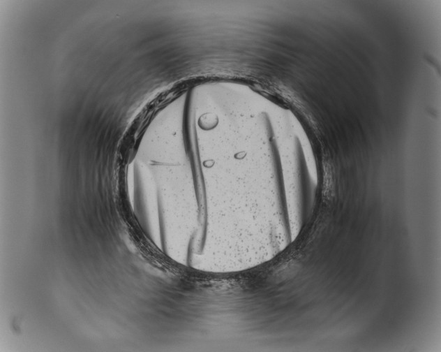 X0000100400580200806271423