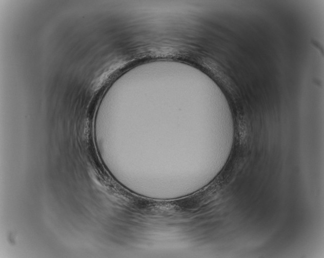 X0000100400583200806271423
