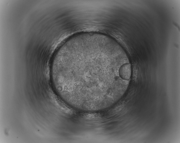 X0000100400584200806271423