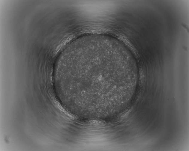 X0000100400585200806271423