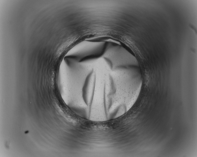 X0000100400586200806271423
