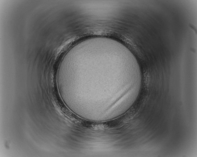 X0000100400587200806271423