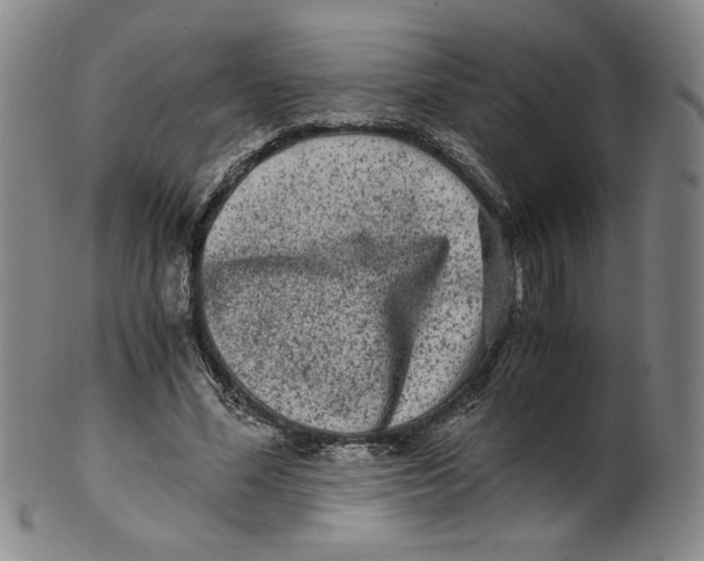 X0000100400588200806271423