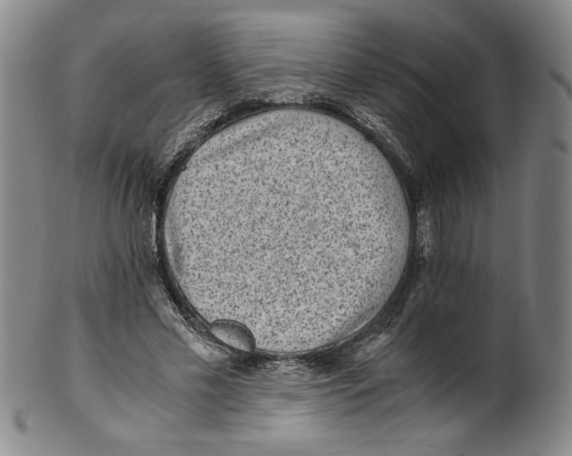 X0000100400589200806271423